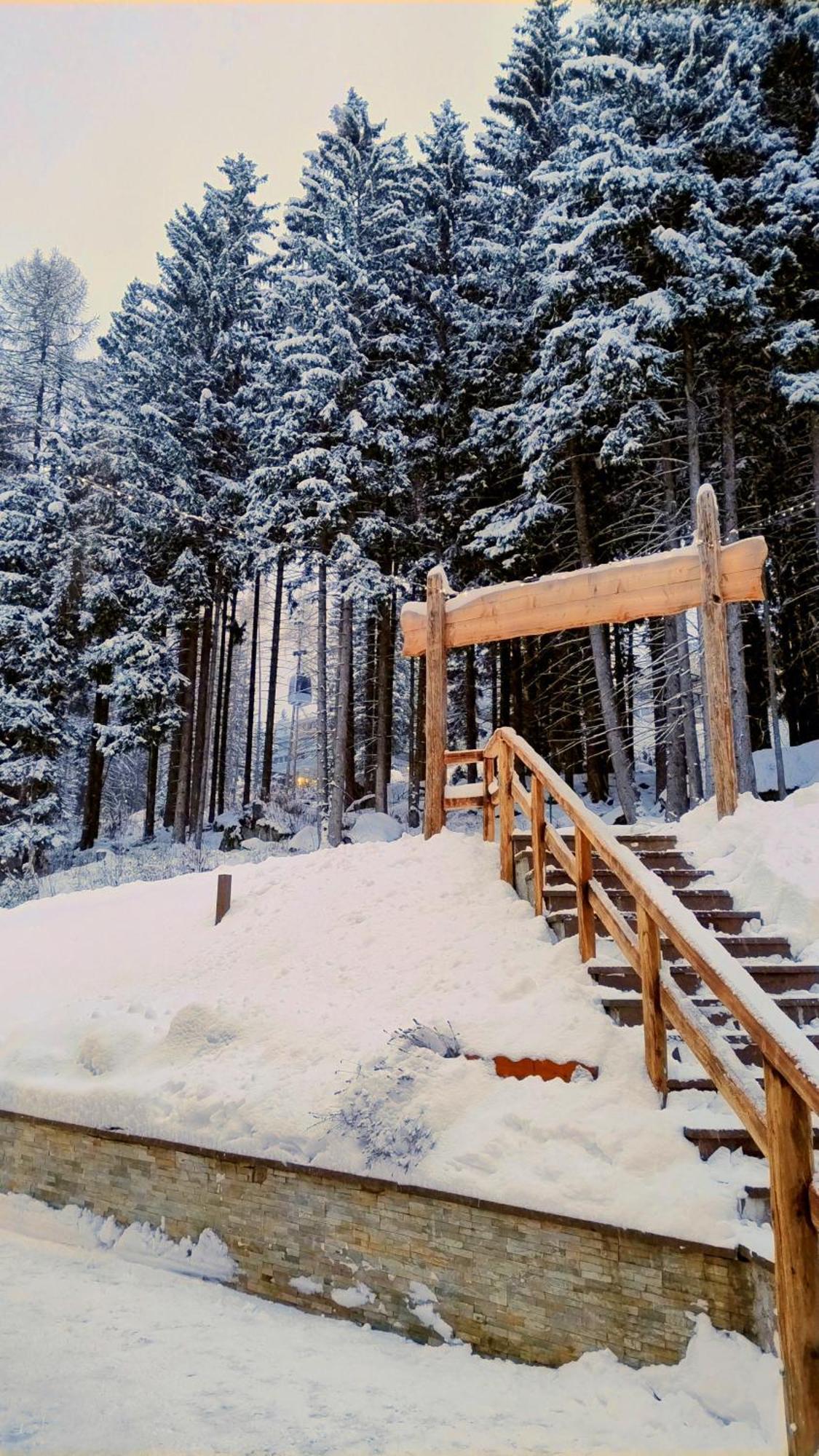 Ale 1206, Marilleva 1400 Accesso Diretto Alle Piste Exteriör bild